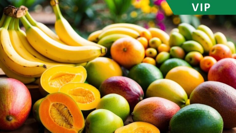 Frutologia e fitoterapia